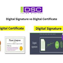 Digital Signature vs Digital Certificate